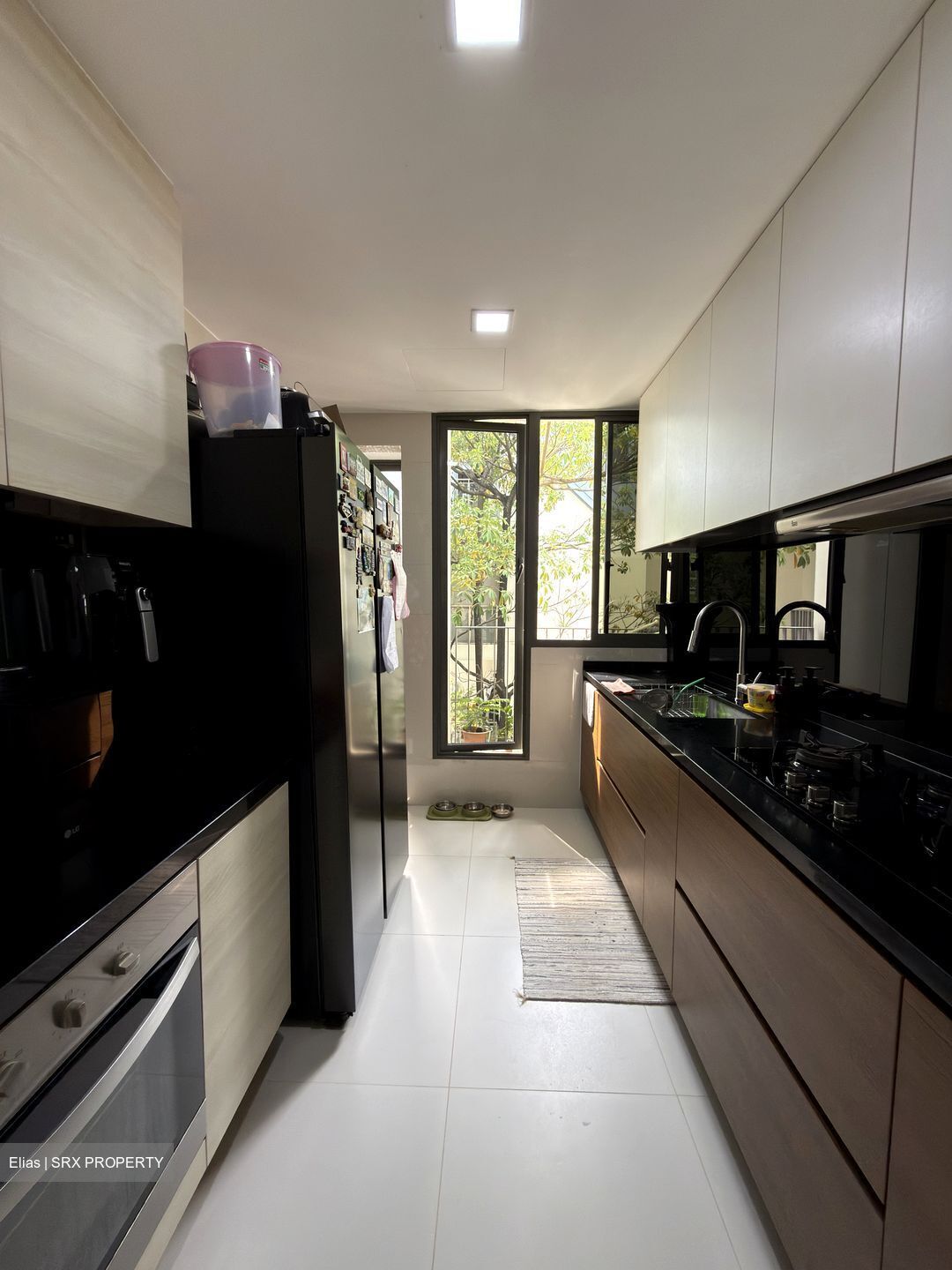 The Miltonia Residences (D27), Condominium #540251751